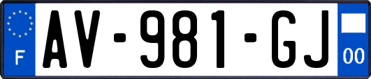 AV-981-GJ