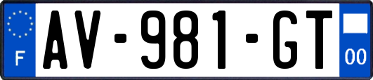 AV-981-GT