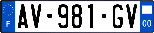 AV-981-GV