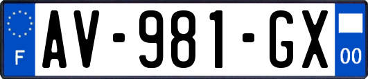 AV-981-GX
