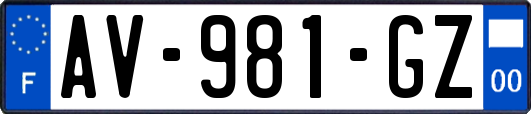 AV-981-GZ