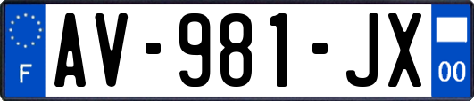 AV-981-JX