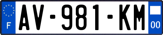 AV-981-KM