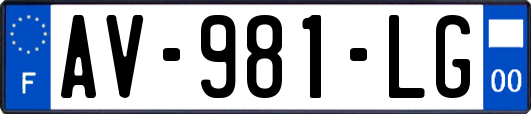 AV-981-LG