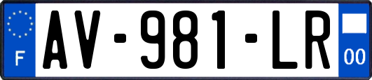 AV-981-LR