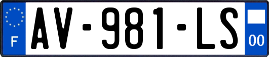 AV-981-LS