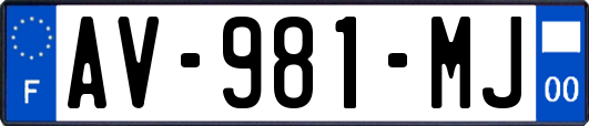 AV-981-MJ