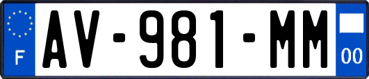 AV-981-MM