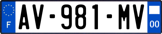 AV-981-MV