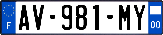 AV-981-MY