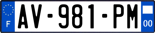 AV-981-PM