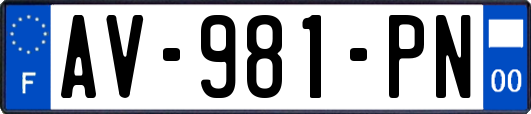 AV-981-PN