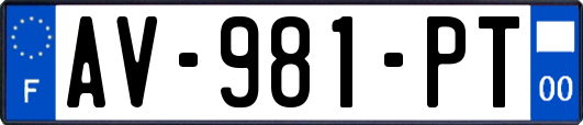 AV-981-PT