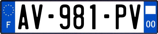 AV-981-PV