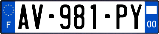 AV-981-PY