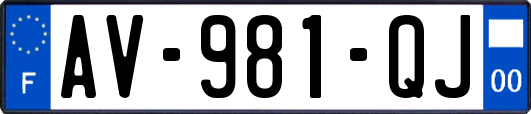 AV-981-QJ