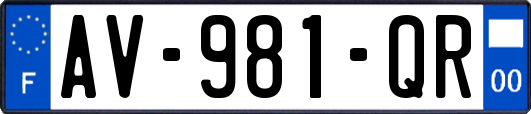 AV-981-QR