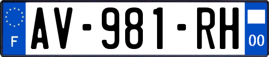 AV-981-RH