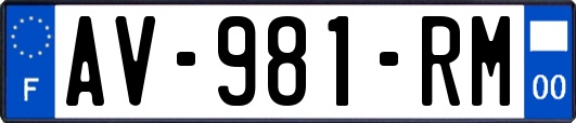 AV-981-RM