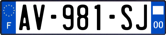 AV-981-SJ