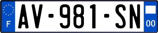 AV-981-SN