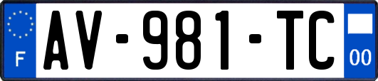 AV-981-TC