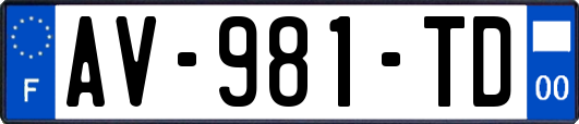 AV-981-TD