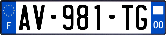 AV-981-TG
