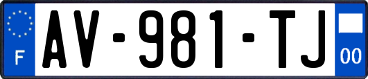AV-981-TJ