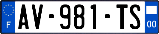 AV-981-TS