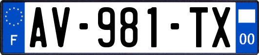 AV-981-TX
