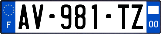 AV-981-TZ