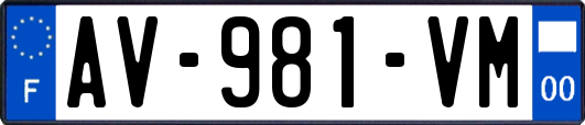 AV-981-VM