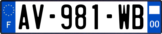 AV-981-WB
