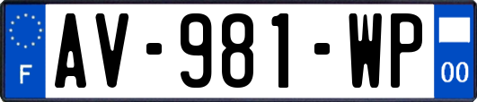 AV-981-WP