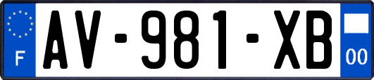AV-981-XB