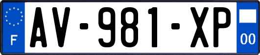 AV-981-XP