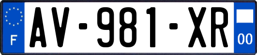 AV-981-XR