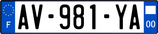 AV-981-YA