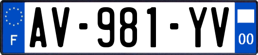 AV-981-YV
