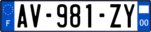 AV-981-ZY