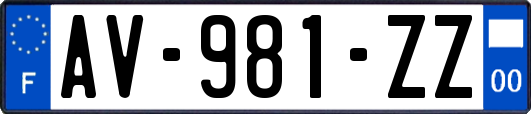 AV-981-ZZ