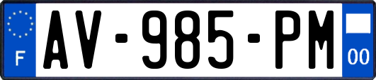 AV-985-PM