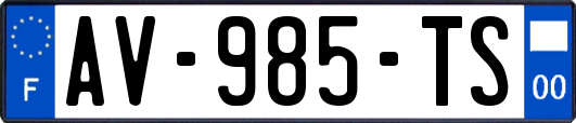 AV-985-TS