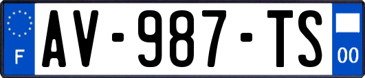AV-987-TS