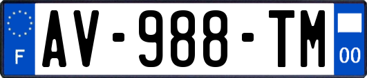 AV-988-TM