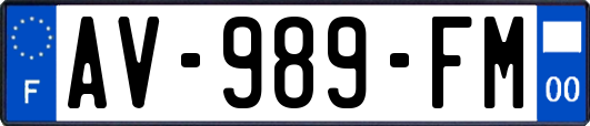 AV-989-FM