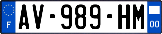 AV-989-HM