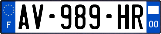 AV-989-HR