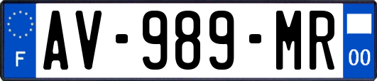 AV-989-MR